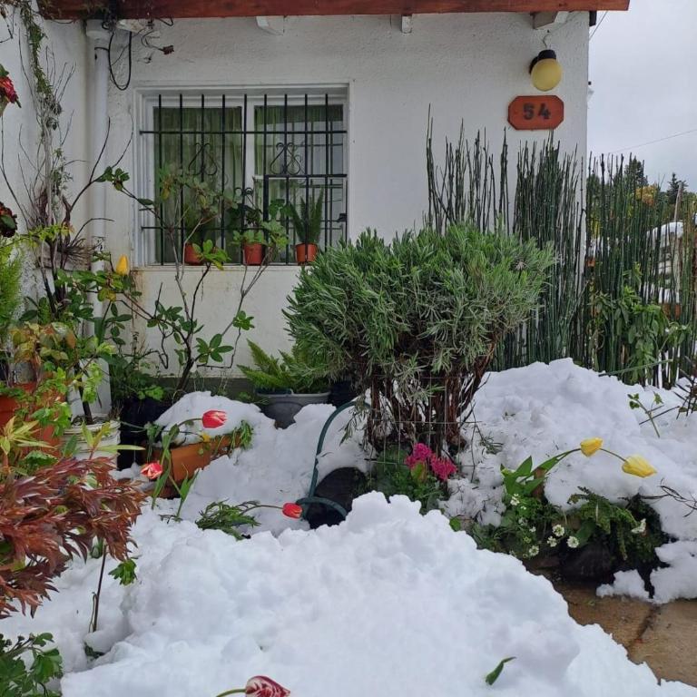 Vuriloche - Casa de 2 dormitorios - 2