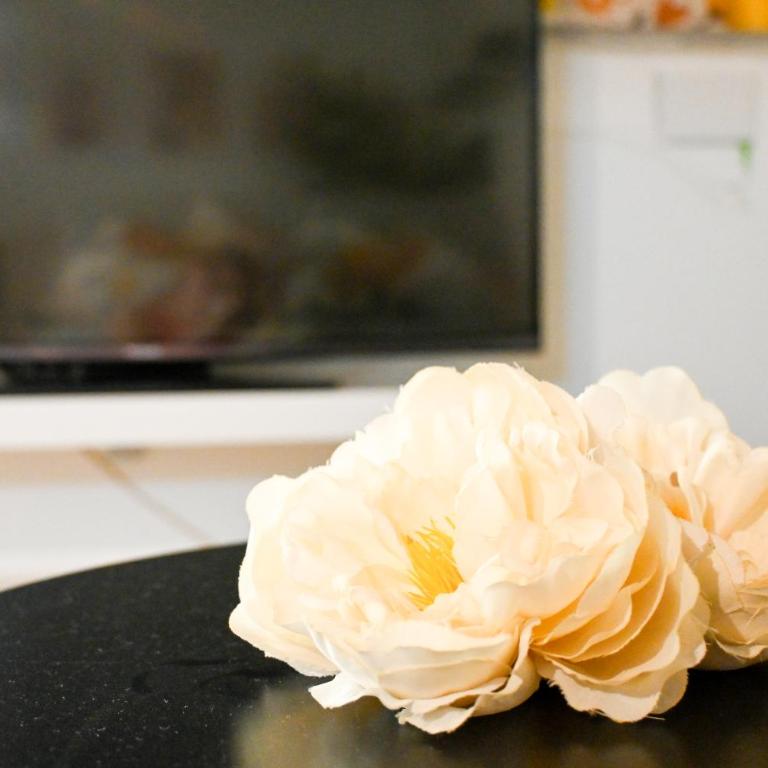 InnPisaRentals - Cozy Flat by the Airport - Appartamento con 2 Camere da Letto - 22