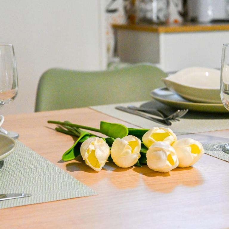 InnPisaRentals - Cozy Flat by the Airport - Appartamento con 2 Camere da Letto - 44