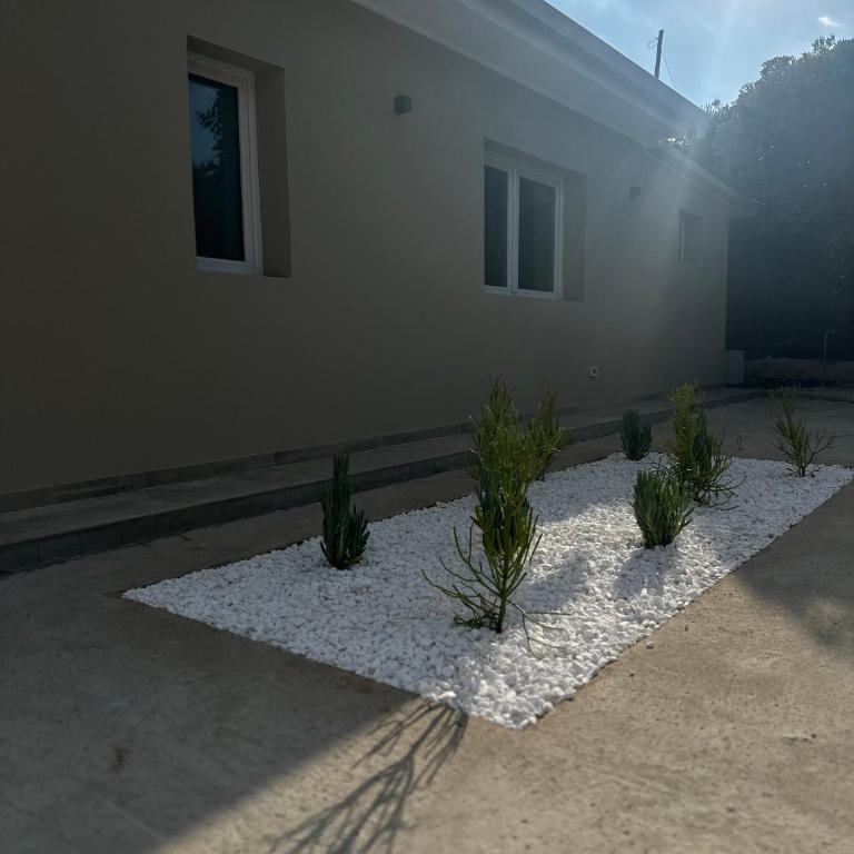 Casa delle Antille vista mare - Villa con 2 Camere da Letto - 18
