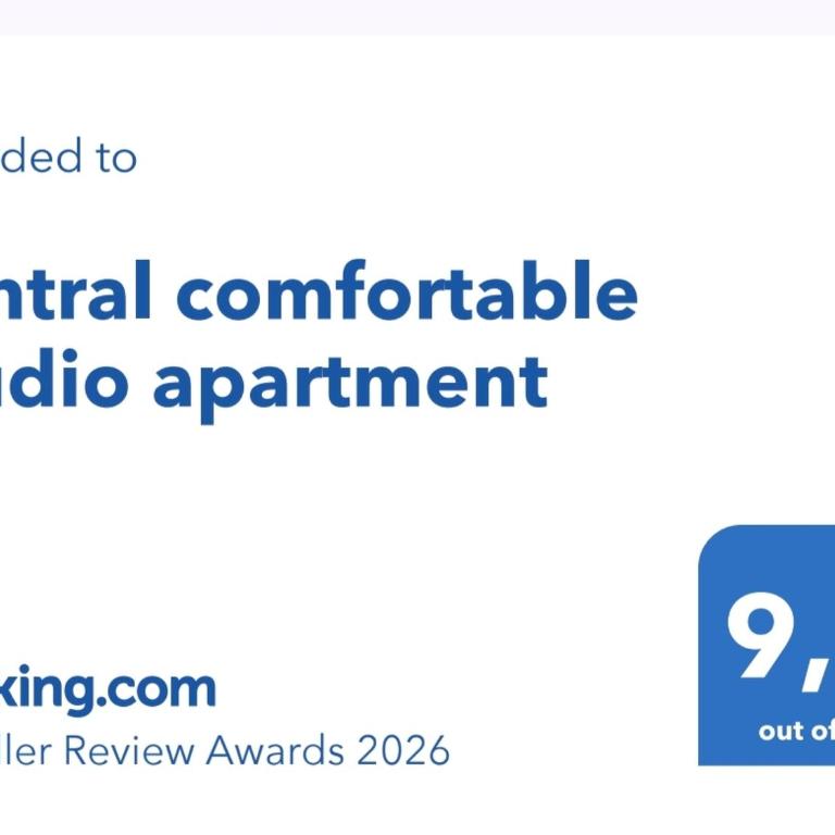 central comfortable studio apartment - Appartement 1 Chambre - 2