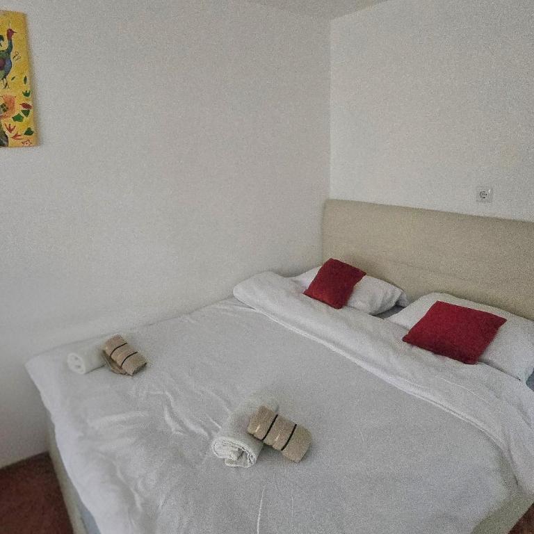 Drvenija old town free parking 2 cars quietly warm all walk distance - Two-Bedroom Deluxe Apartment with Balcony - 3