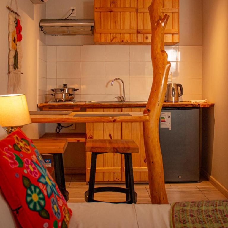 Refugio del Maipo Lodge - Double Room with Pool View - 8