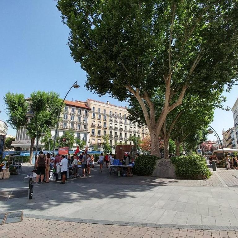 Madrid City Center with Garage 3 bedrooms 2 baths - Three-Bedroom Apartment with Balcony - 5