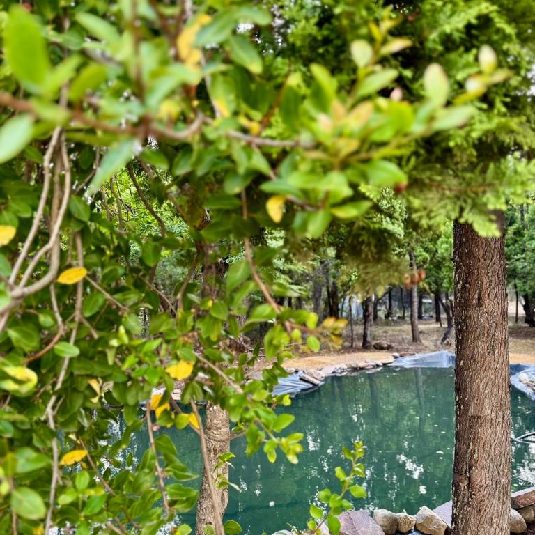Casa de Campo con tina de agua caliente - Two-Bedroom House - 3