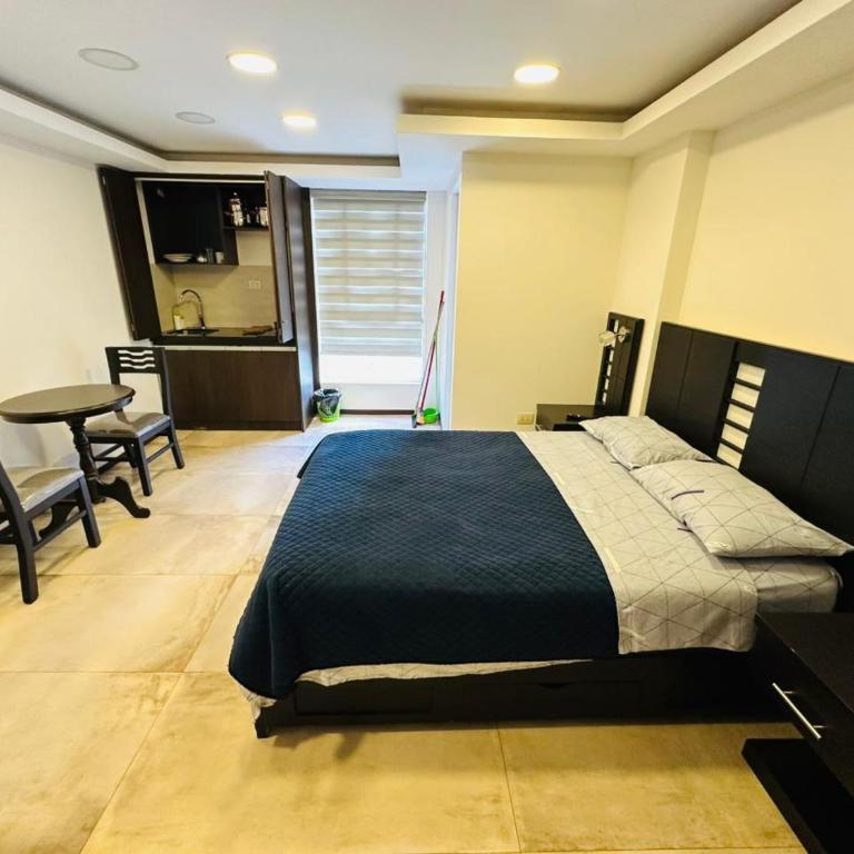 Auriga 2-14 - One-Bedroom Apartment - 1