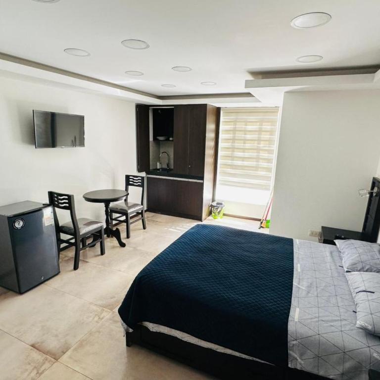 Auriga 2-14 - One-Bedroom Apartment - 14