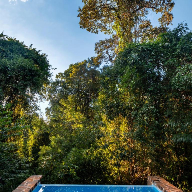 Awasi Iguazú - Suite with Private Pool - 11