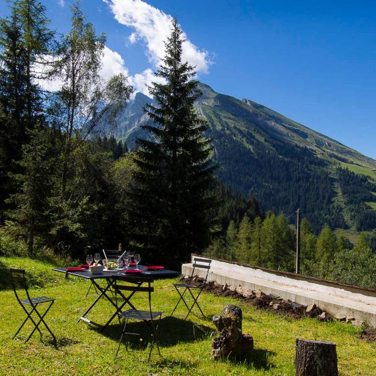 Chalet 5 chambres, Sauna, Bain Norvégien, Wifi, 12 pers. à La Clusaz - FR-1-437-57 - Chalet (12 Adults) - 9