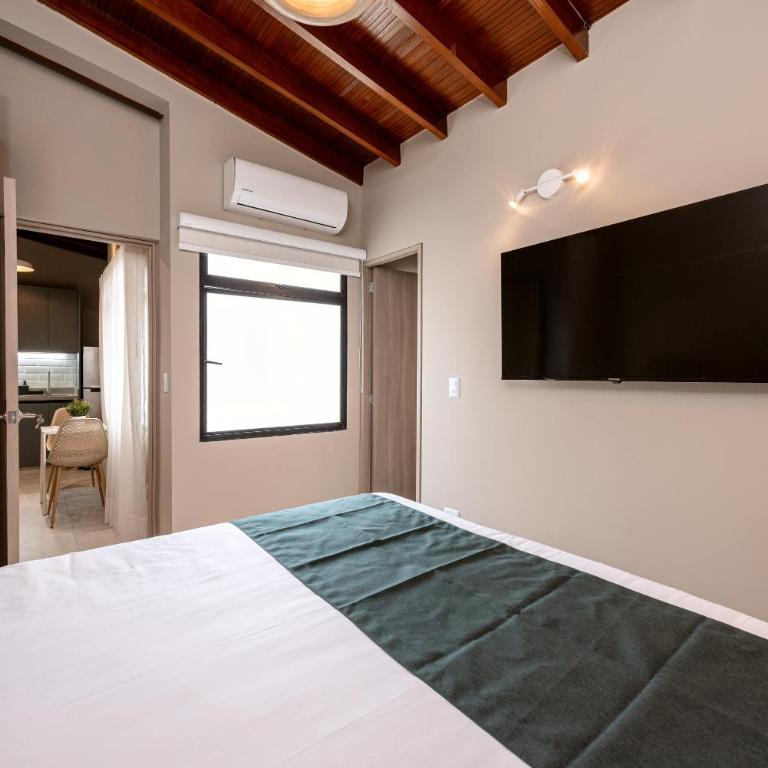 Lucas L - Two-Bedroom Apartment - 4