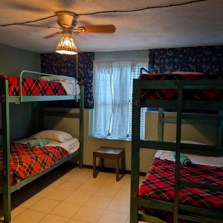 Hierba De Conejo Hostel - Cama en habitación compartida mixta de 4 camas - 2
