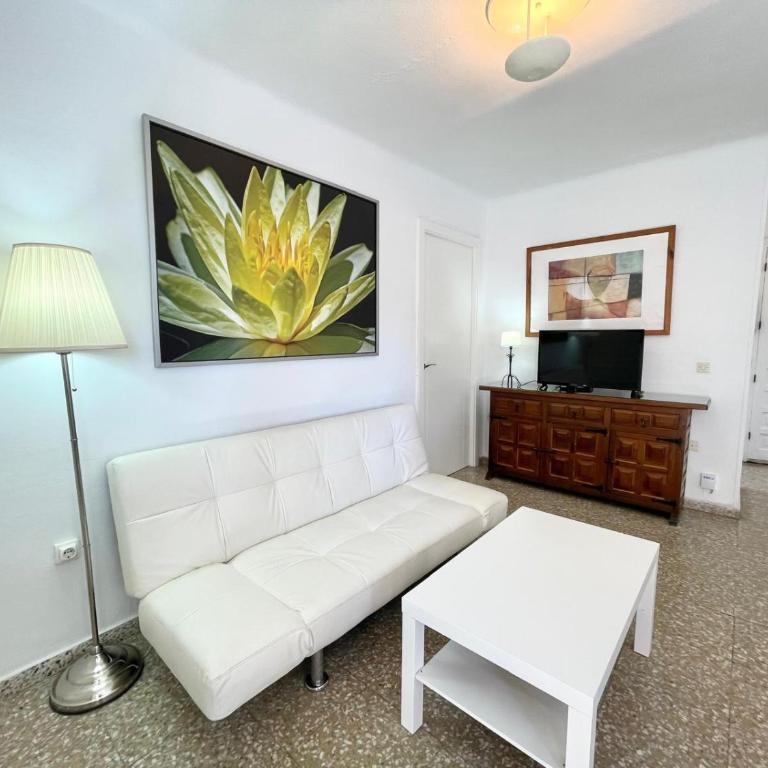 Terrasol Trinidad 4 - Apartment - 7