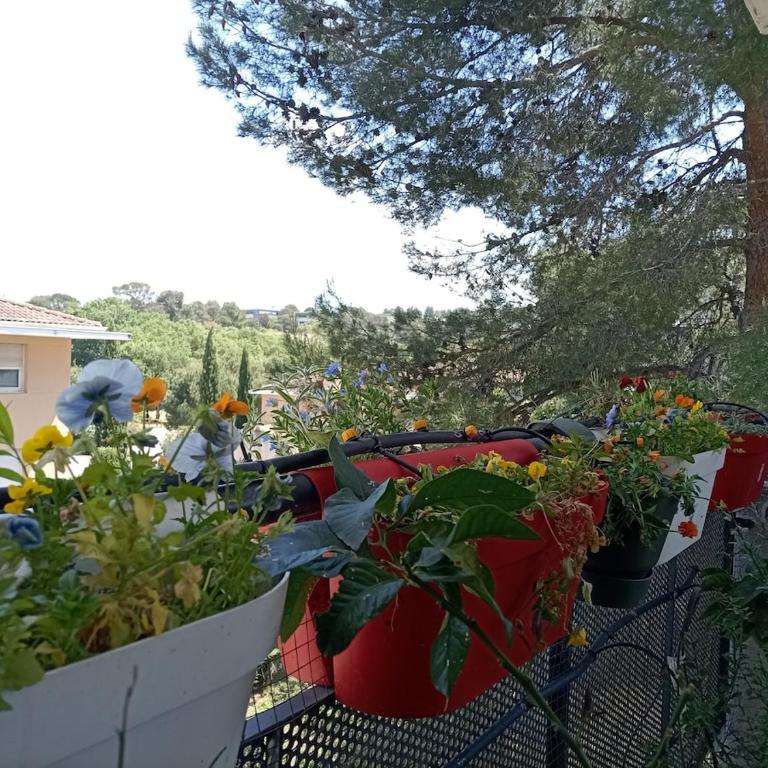 T2 lumineux balcon, parking facile, climatisation, Wi-Fi - Appartement 1 Chambre - 5