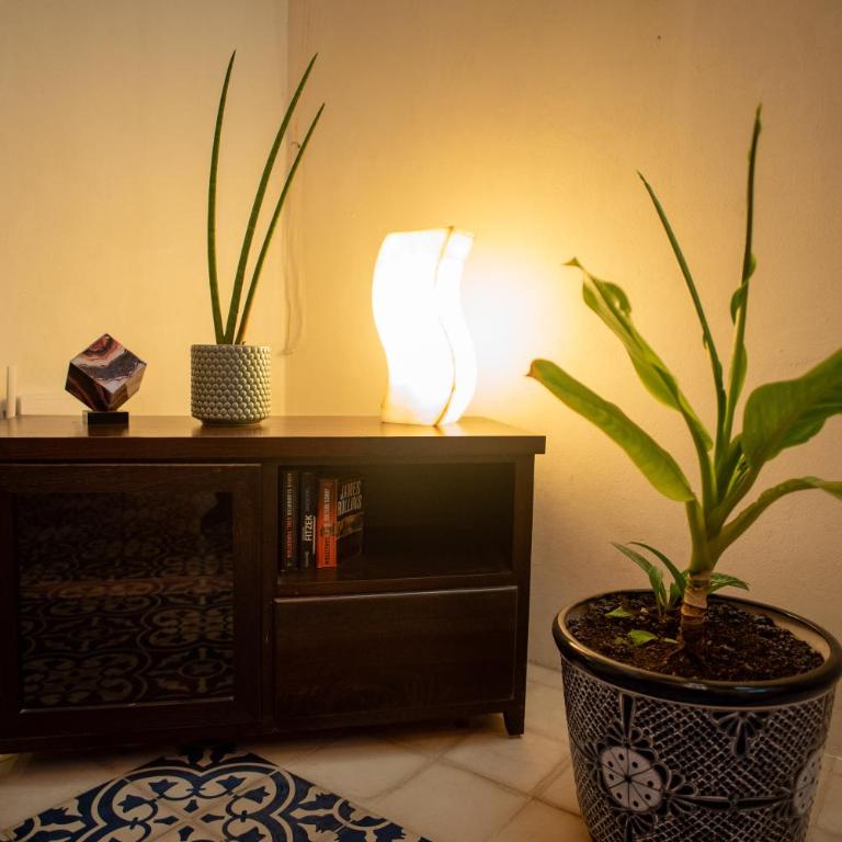 Tropical Paradise in the Centro Historico of Merida - Two-Bedroom Apartment - 7