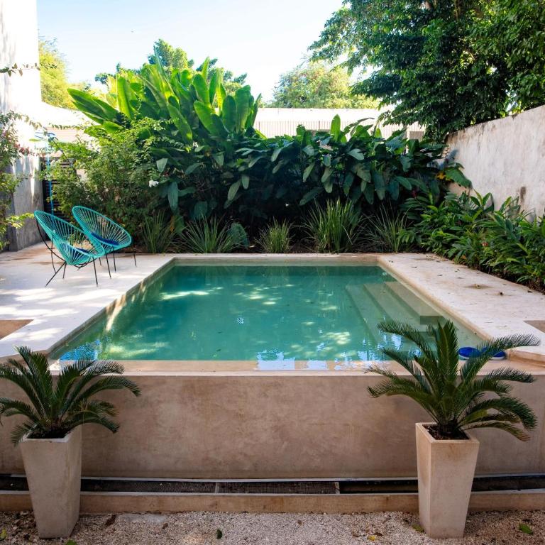 Tropical Paradise in the Centro Historico of Merida - Two-Bedroom Apartment - 30
