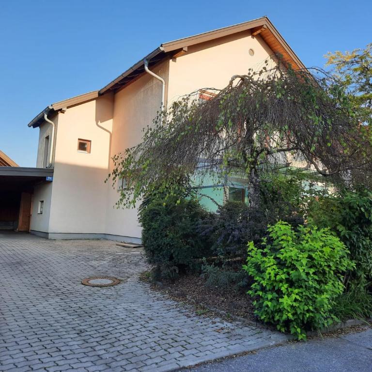 Ferienhaus Tolazzi - Haus mit 2 Schlafzimmern - 62