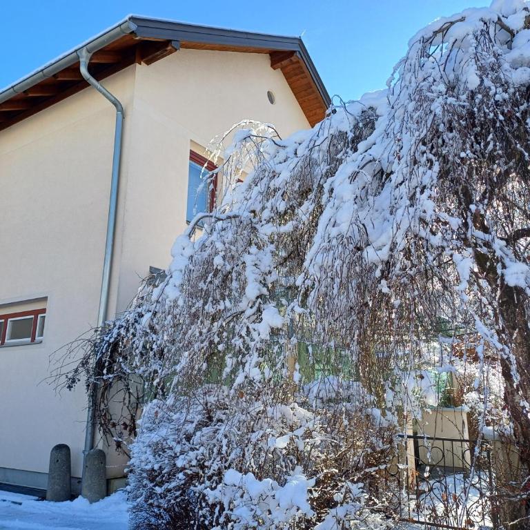 Ferienhaus Tolazzi - Haus mit 2 Schlafzimmern - 63