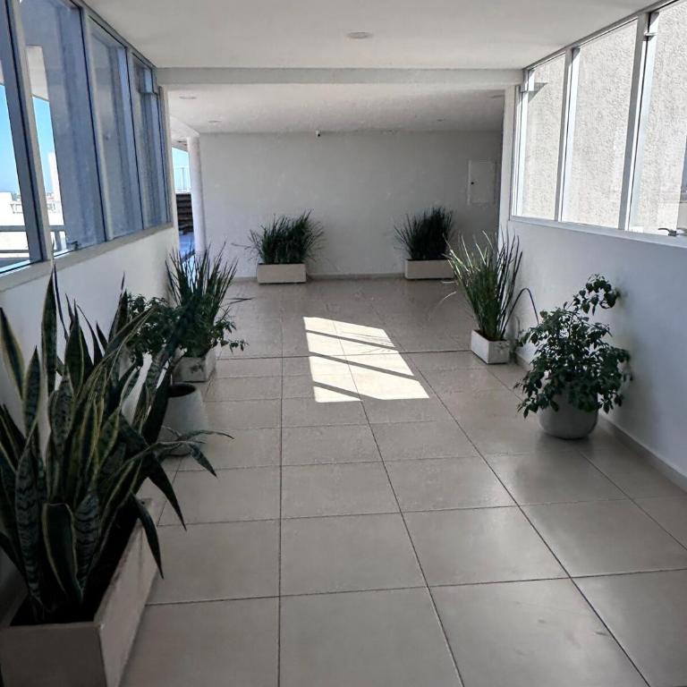 Excelente Departamento en el Microcentro de Asunción, Comodidad y Ubicación - One-Bedroom Apartment - 22