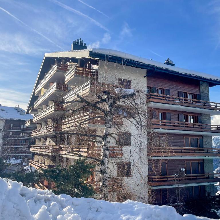 Nendaz Alpine Studio - Ski & Swimming Pool - Appartement 1 Chambre - 10