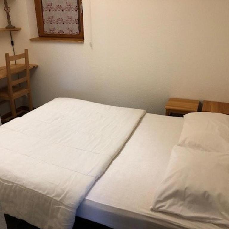 Grand appartement 3 pièces spacieux, pied des pistes avec parking, St Jean d'Aulps - Appartement 2 Chambres - 19