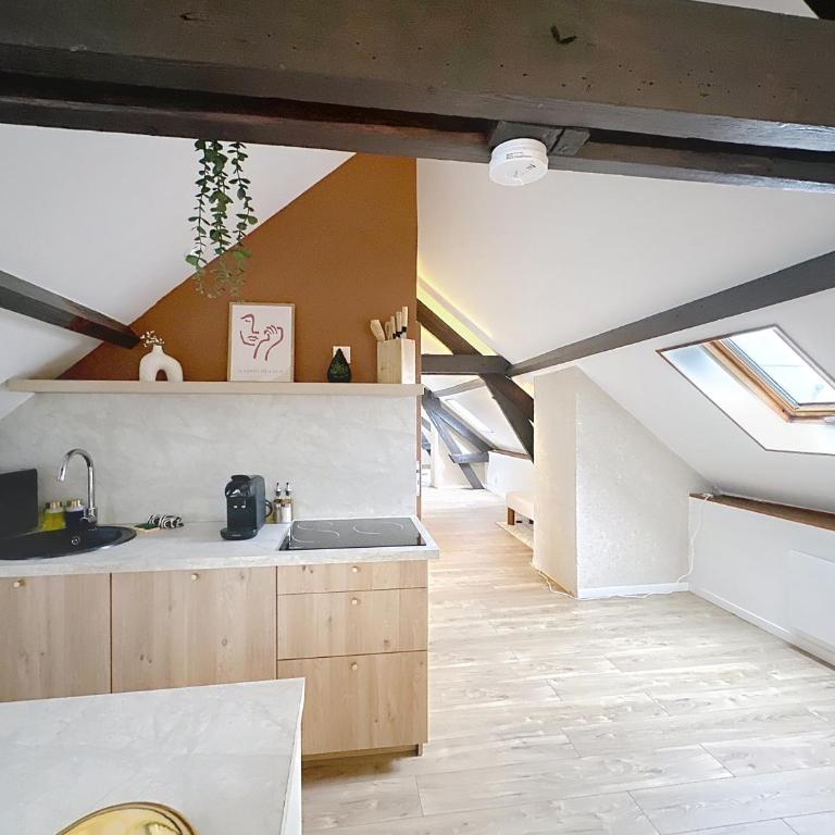 Saint-Nicaise - Appartement de Charme - Maisons Champagne 1 min - Reims - Appartamento con 2 Camere da Letto - 15