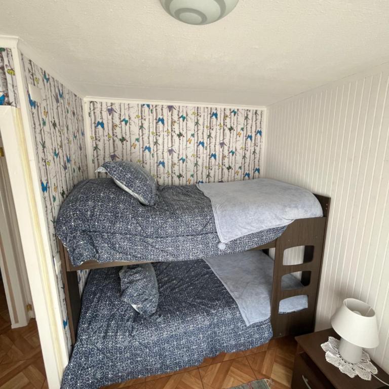 Cabañas Campestres Inés - Three-Bedroom House - 9