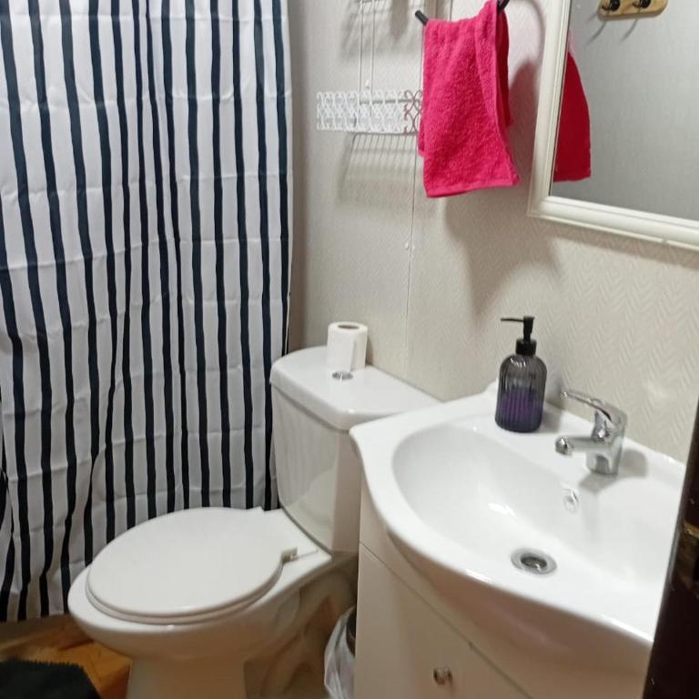 Cabaña Terraza Choshuenco - Two-Bedroom House - 1