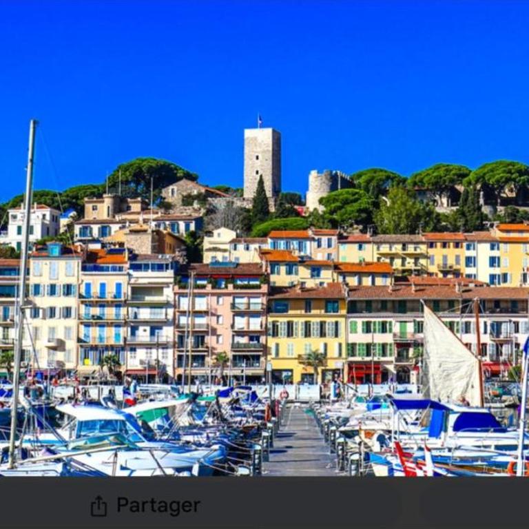 Cannes hyper centre -palais du festival -croisette -quartier historique du suquet - Appartement 1 Chambre - 37