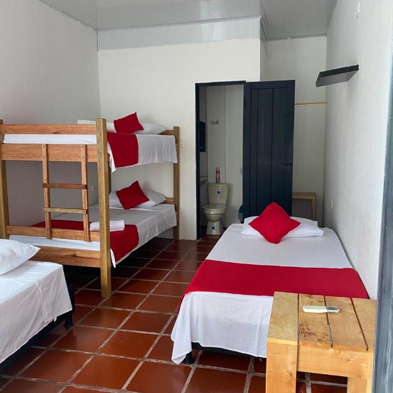 Cabañas Spacetatacoa - Habitación Cuádruple - vistas al jardín - 2