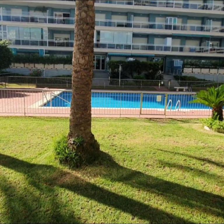Apartamento Athenea - Playa de Gandia - Apartamento de 3 dormitorios - 29