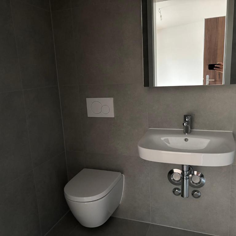 Expérience unique à Lausanne, Top floor Apartment on Lausanne Train Station - Apartment mit 1 Schlafzimmer - 7