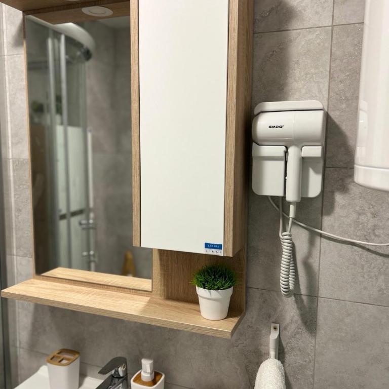 Lazar Apartman Vrnjacka Banja - Room #1586473401 - 12