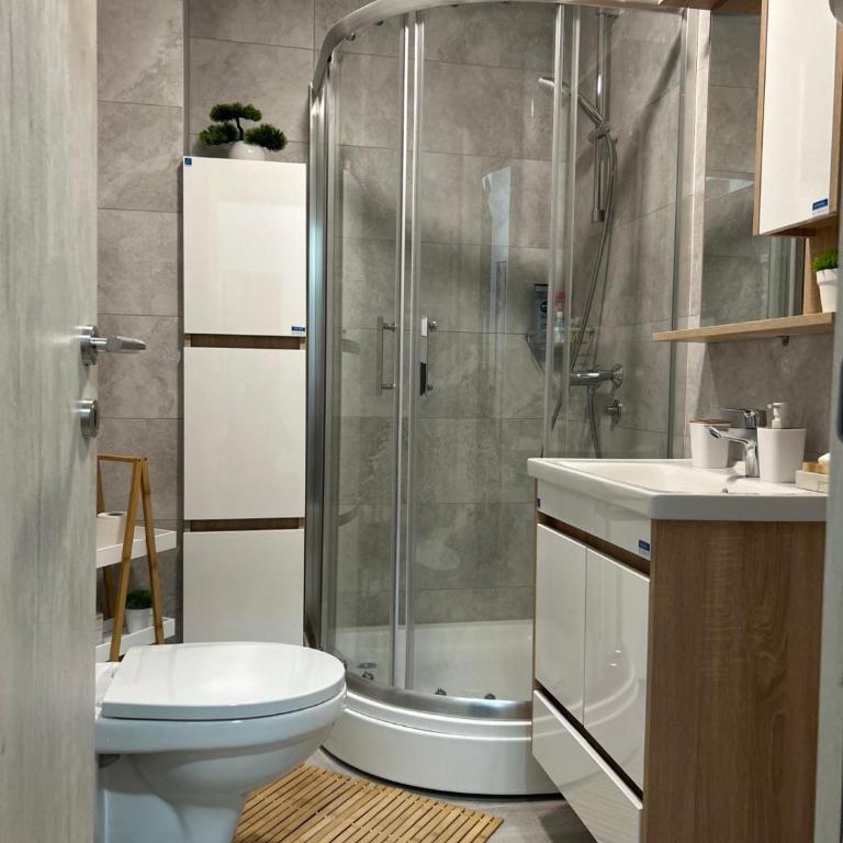 Lazar Apartman Vrnjacka Banja - Room #1586473401 - 11