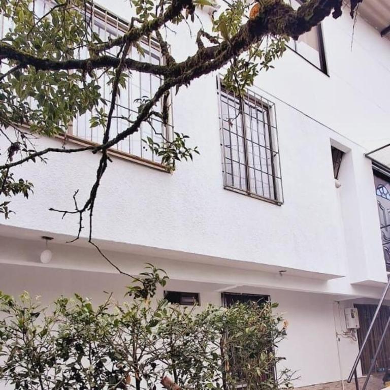 Loft Central con vista a bosque urbano y avistamiento de aves, recibimos tu equipaje antes del check in aprovecha el día - Two-Bedroom House - 31