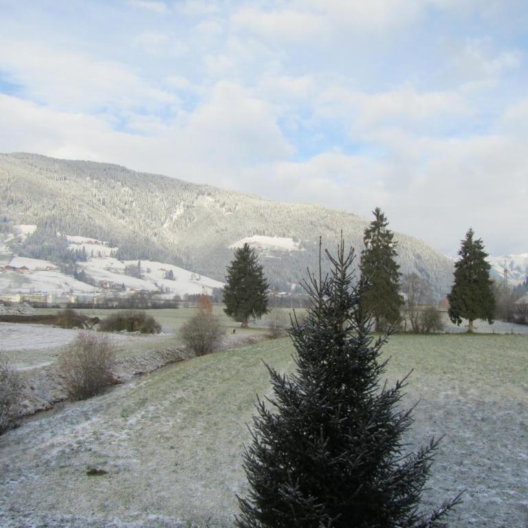 Ferienwohnung Birgit Wieser - Appartamento con Vista Montagna - 23