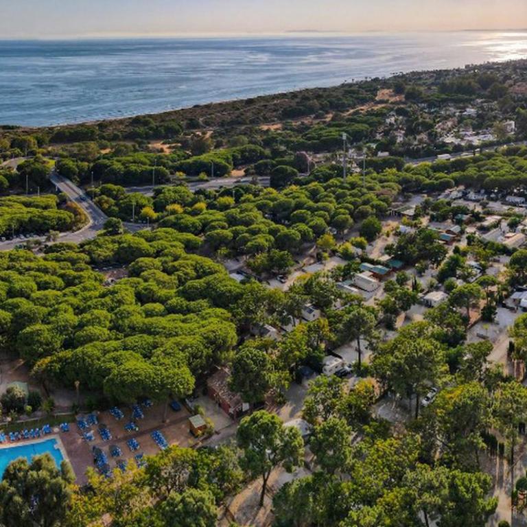 Mobil-Home 6 Pers, Terrasse à Marbella - API-1-52-1925 - Casa Móvil - 14