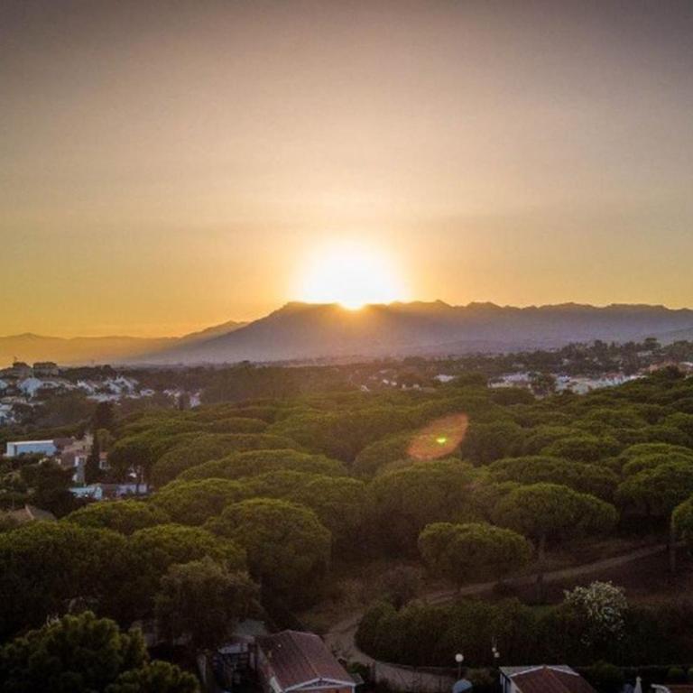 Mobil-home Marbella - Terrasse Privée - API-1-52-1861 - Casa Móvil - 36
