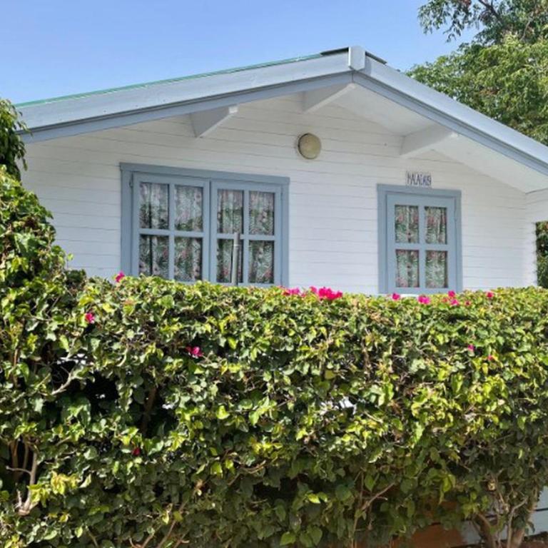 Bungalow Terrasse à Marbella - Pour Couples - API-1-52-1893 - Bungalow - 1