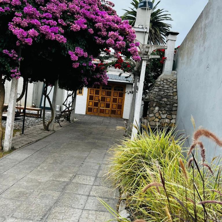 OceanaMarchi - Chimba House - Room #1586559001 - 1
