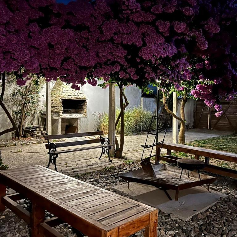 OceanaMarchi - Chimba House - Room #1586559001 - 11
