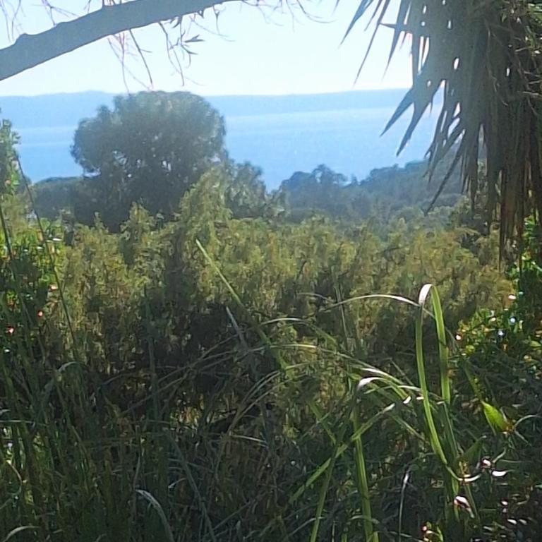 Massacan-Vue Mer - Suite de 2 dormitorios - 1