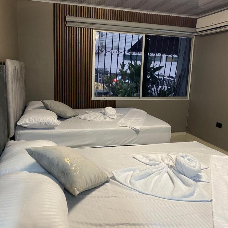 ALUKE 4k - Apartamento de 1 dormitorio - 1