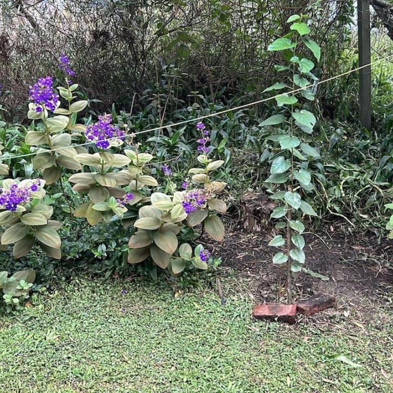 La Serena de Los Cocos La Paloma Rocha - Room #1586590501 - 47