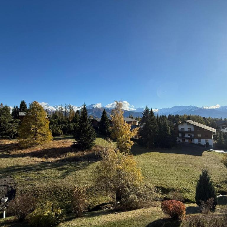 Duplex spacieux et plein de charme à Crans-Montana - Apartment - 6
