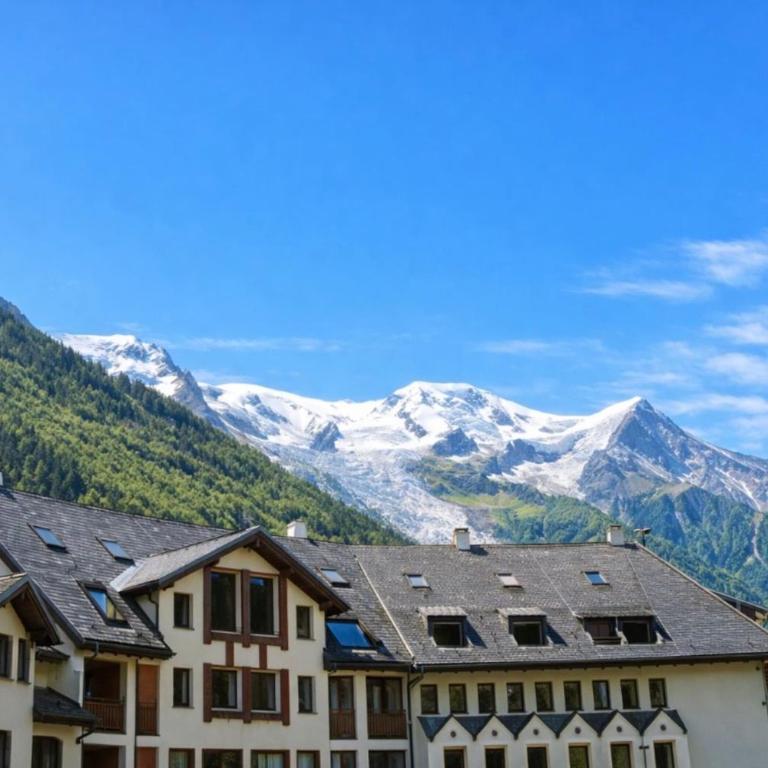 Nice flat Aiguille du Midi with balcony - Apartment - 14
