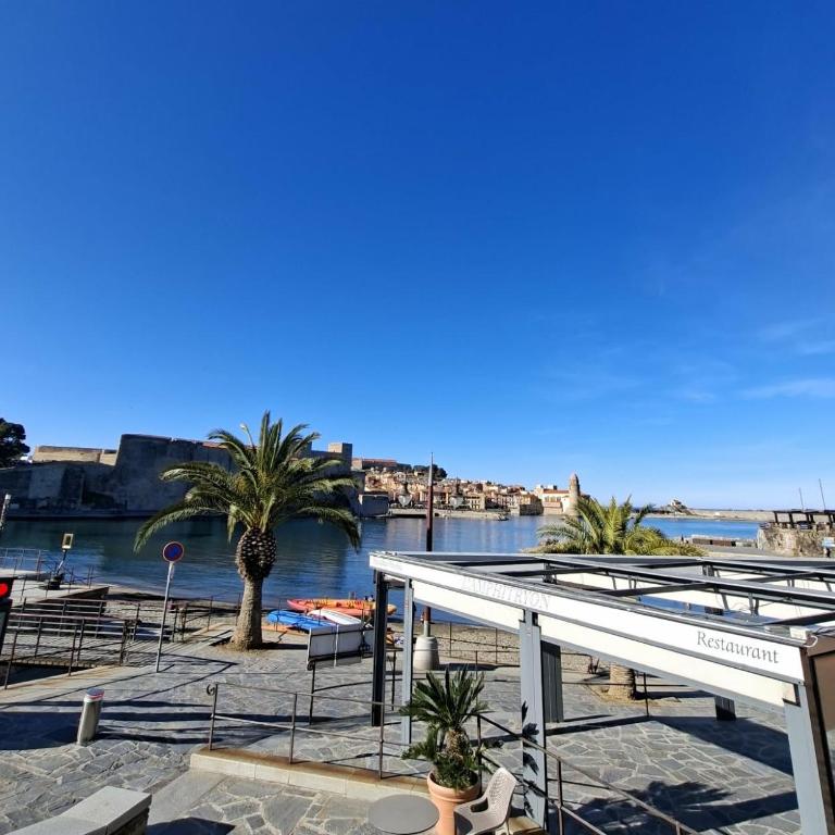 3PSD7 - Appartement au coeur du Faubourg à Collioure - Studio - 12