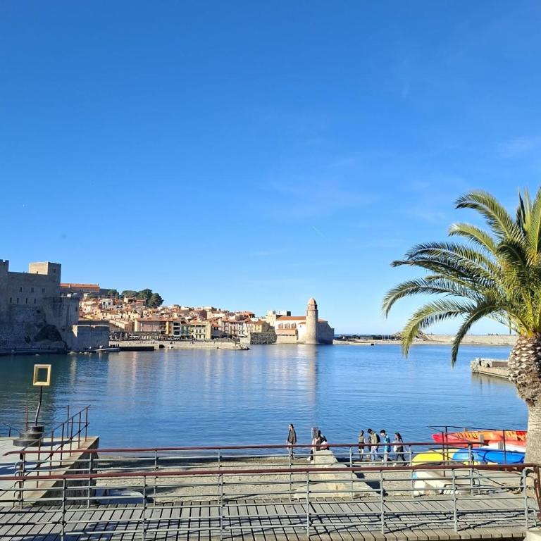 3PSD7 - Appartement au coeur du Faubourg à Collioure - Studio - 13
