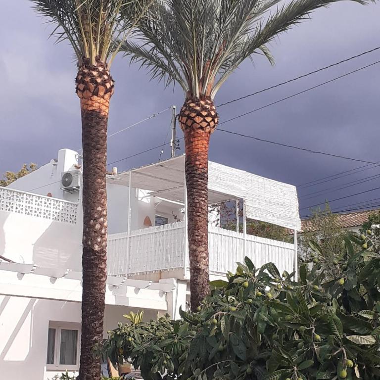 Estudio Rural Ibicenco Altea By DelucaCo - Apartamento de 1 dormitorio - 56