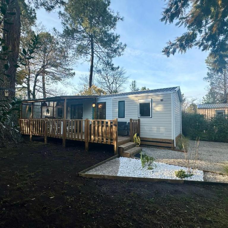 Lodge 203 - Ó Pin Parasol - Camping La Forge 4 - La Teste - Bungalow - 9
