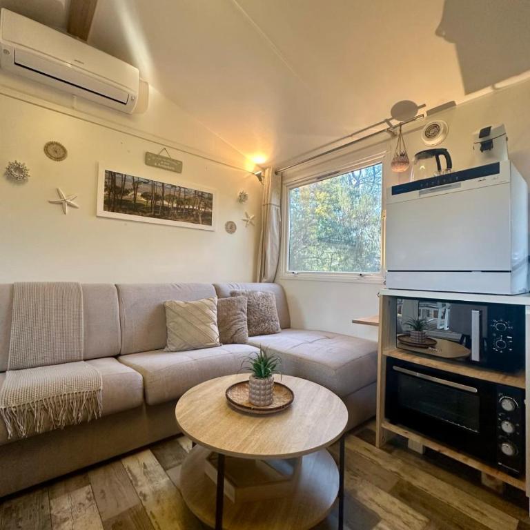 Lodge 203 - Ó Pin Parasol - Camping La Forge 4 - La Teste - Bungalow - 23